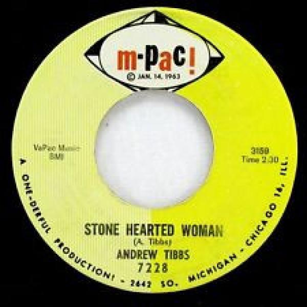 Andrew Tibbs - Stone Hearted Woman