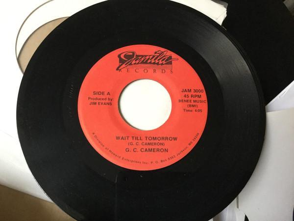 G.C. Cameron - Wait Till Tomorrow