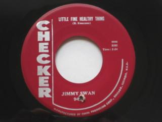 Jimmy Swan (5) - Little Fine Healthy Thing