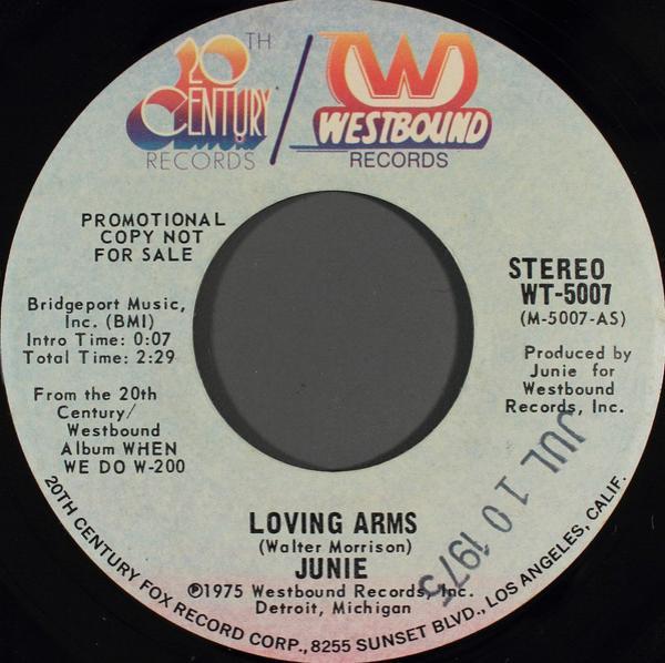 Junie Morrison - Loving Arms