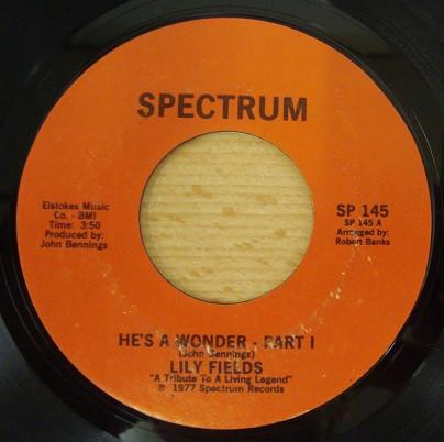 Lily Fields - He's A Wonder