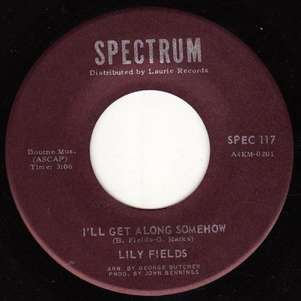 Lily Fields - I'll Get Along Somehow / I've Forgotten How To Cry