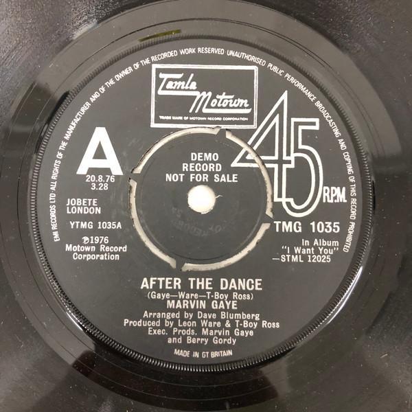 Marvin Gaye - After The Dance