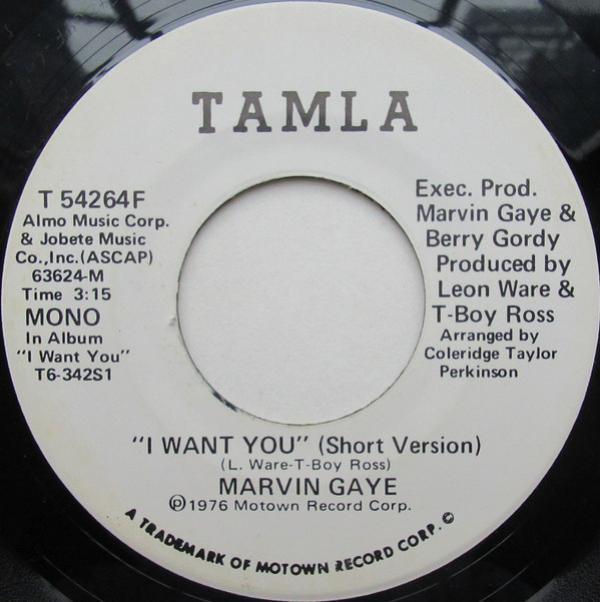 Marvin Gaye - I Want You