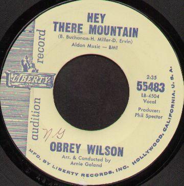 Obrey Wilson - Hey There Mountain / Say It Again