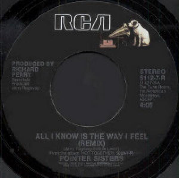 Pointer Sisters - All I Know Is The Way I Feel (Remix)