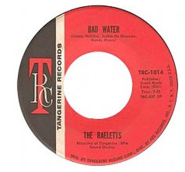 Raelets - Bad Water / That Goes To Show You
