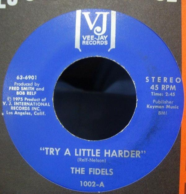 The Fi-dels - Try A Little Harder
