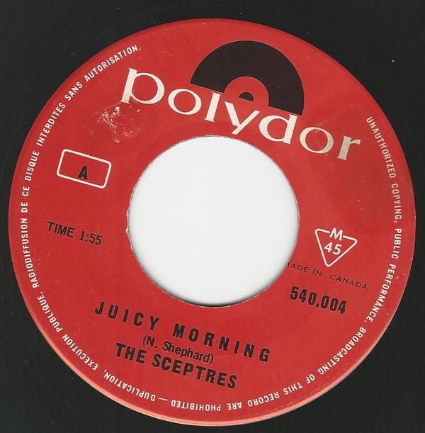 The Sceptres  - Juicy Morning