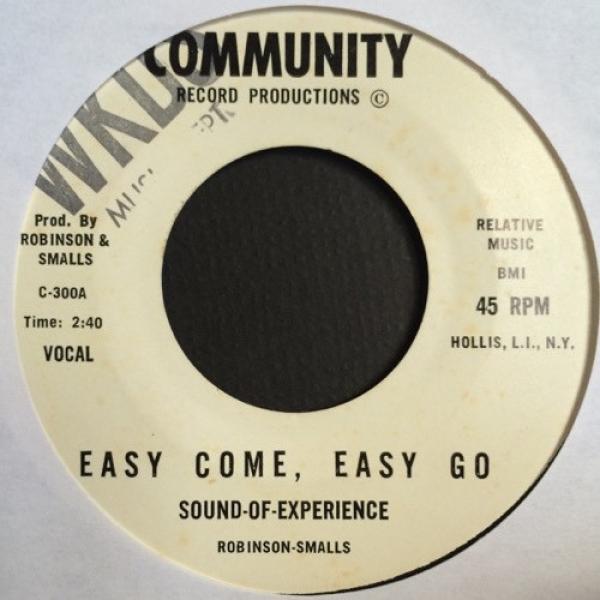 The Sound-Of-Experience - Easy Come, Easy Go