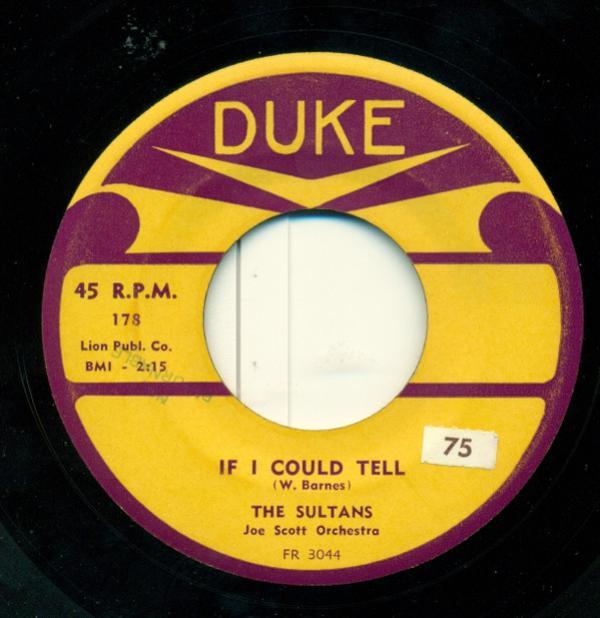 The Sultans (10) - If I Could Tell / My Love Is So High