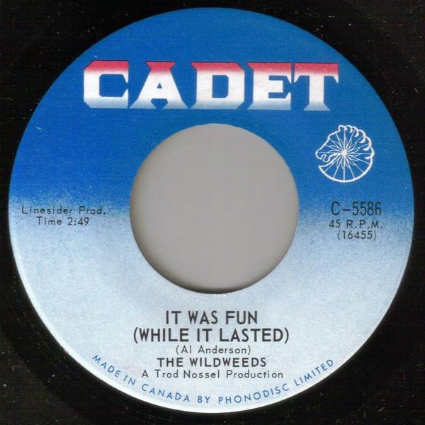 The Wildweeds - It Was Fun (While It Lasted) / Sorrow's Anthem