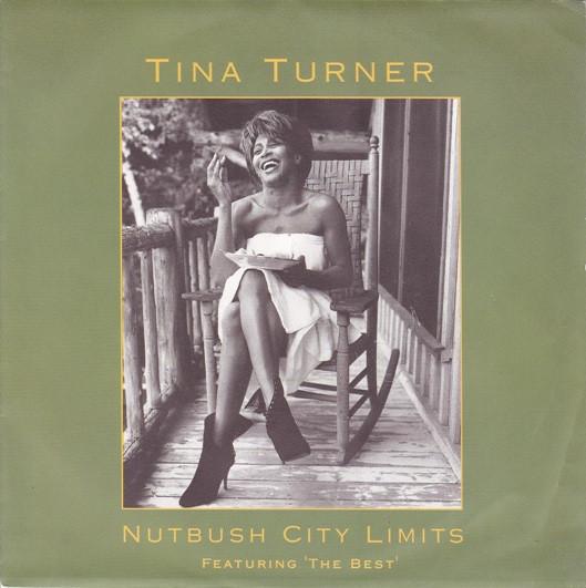 Tina Turner - Nutbush City Limits (The 90's Version)