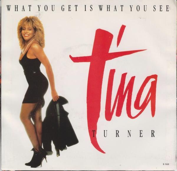 Tina Turner - What You Get Is What You See