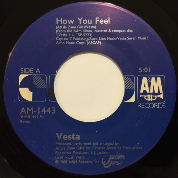 Vesta Williams - How You Feel
