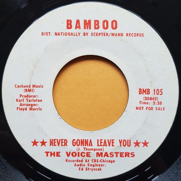 Voice Masters - Never Gonna Leave You